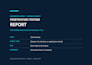 perform a web application penetration test